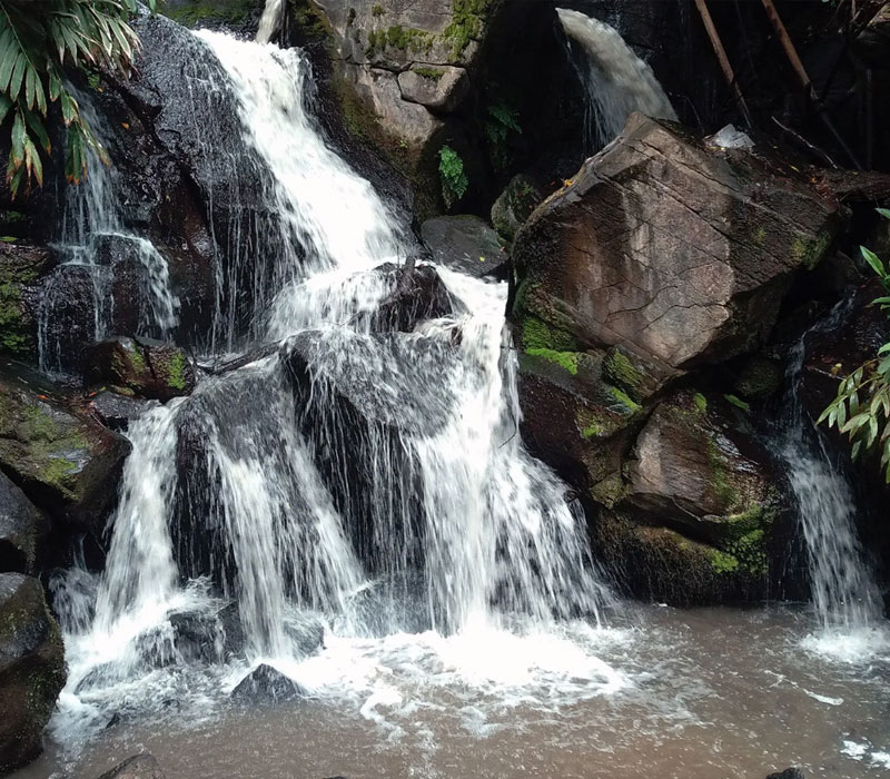 Oloolua Nature Trail - 21km